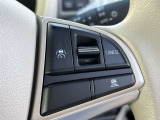 アダプティブクルーズコントロールを搭載しております。設定した速度・車間距離を保ちながら走行してくれます。長距離運転で大活躍です!