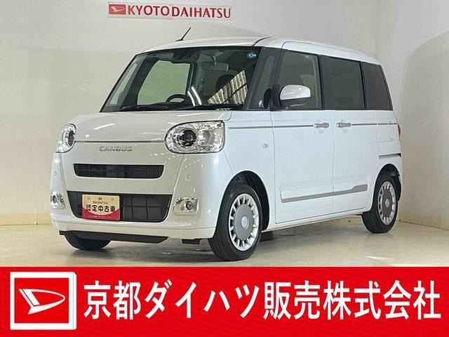 ムーヴキャンバス  セオリー G