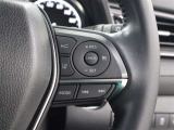 レーダークルーズコントロール作動時に車線維持に必要な運転操作の支援を行う「レーントレーシングアシスト(LTA)」を搭載しています。
