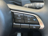 登録した速度に保ち走行するレーダークルーズコントロール付き。高速やバイパスでの運転支援に役立つ便利アイテムです!