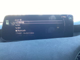 ナビ/AMFM/CD/DVD/フルセグTV/Bluetooth&ハンズフリーマイク装備。