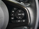 ◆アダプティブクルーズコントロール◆予め設定した車速内でクルマが自動的に加減速。前走車との適切な車間距離を維持しながら追従走行します。【LKAS】車線維持支援システムでステアリング操作を支援。