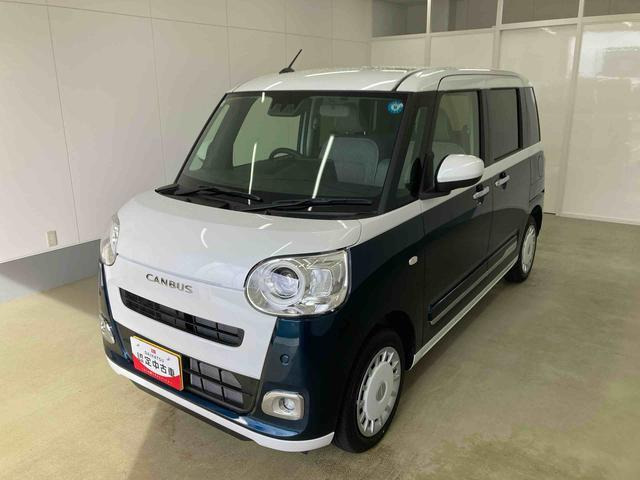 ムーヴキャンバス  ストライプス G