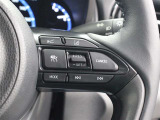 レーダークルーズコントロール使用時に、同一車線内中央を走行できるよう操舵を支援するレーントレーシングアシスト[LTA]が装着されています。