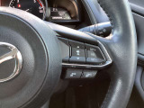 ステアリング右には運転支援系システムがまとまっており、運転中の操作の迷いを少なくしてくれます。