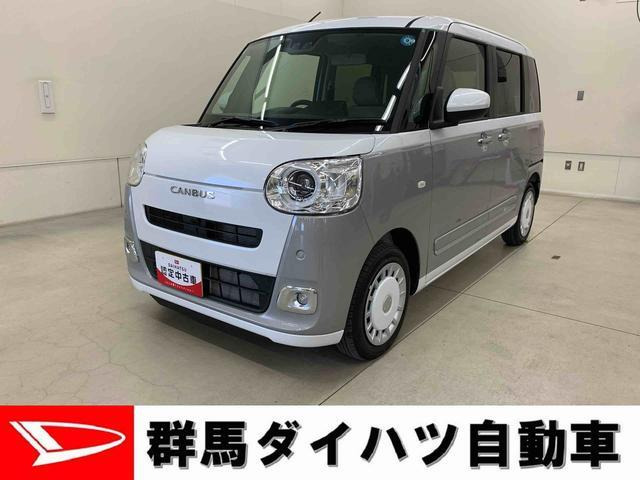 ムーヴキャンバス  ストライプス G