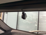 リア側ドライブレコーダー。運転中の映像・音声などを記録して、交通事故やトラブルが起きた時の正確な状況把握に役立つドライブレコーダーが装着されています。