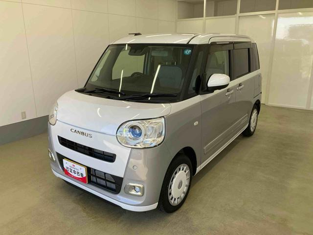 ムーヴキャンバス  ストライプス G
