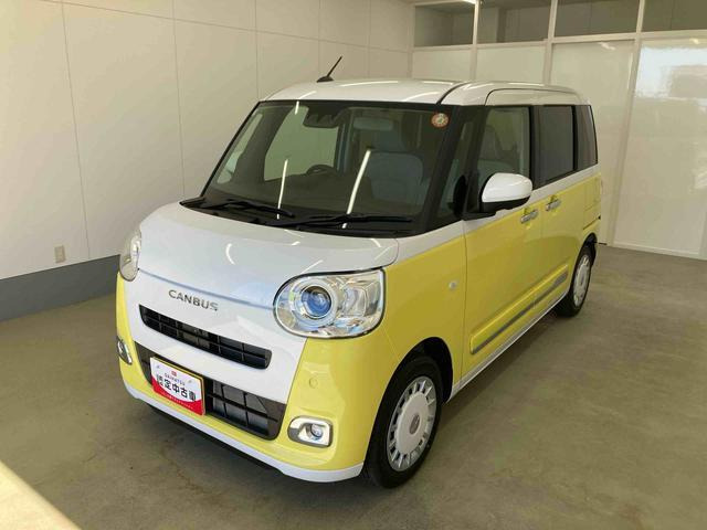 ムーヴキャンバス  ストライプス G