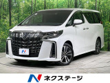 純正9型ナビ 両側電動ドア 全周囲カメラ JBLサウンド 100V電源