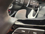 パドルシフトでマニュアル車のような運転を体験できます。