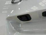 写真を見て気になった方、今がチャンスです!