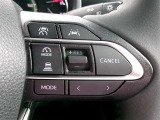 クルーズコントロールで一定速度をキープできます。運転の疲労も軽減してくれ、燃費節約にも役立ちます。ロングドライブの頼もしい味方ですね。