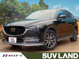 純正SDナビ ブラインドスポットモニター パワーバックドア バックカメラ