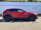 ボディカラーの美しさをぜひ現車でご確認ください。