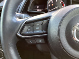 ステアリング左にはオーディオ系システムがまとまっており、運転中の快適性をサポートしてくれます。
