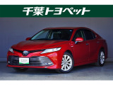 千葉・茨城・埼玉・東京・神奈川での登録、及びご来店頂ける方への販売に限らせていただきます。