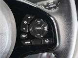 ◆アダプティブクルーズコントロール◆予め設定した車速内でクルマが自動的に加減速。前走車との適切な車間距離を維持しながら追従走行します。【LKAS】車線維持支援システムでステアリング操作を支援。