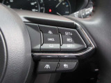 ステアリングスイッチで、先行車に自動追従するアダプティブクルーズコントロールが作動可能。設定した車速内での車間距離を自動で調整・維持。高速道路の渋滞時もアクセル・ブレーキ操作から解放されます。