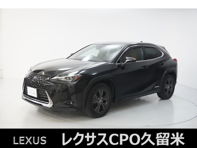 UX 250h バージョンC 