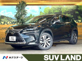純正10.3インチナビ パノラマルー 三眼LEDヘッド レーダークルーズ