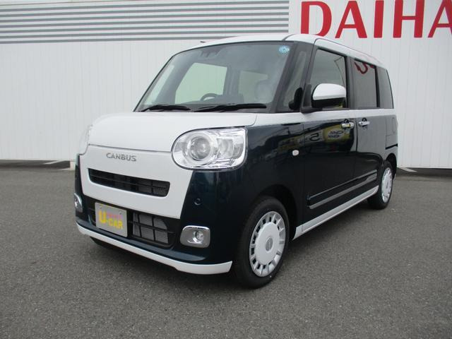 ムーヴキャンバス  ストライプス G