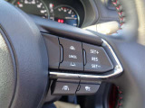 ステアリングスイッチで、先行車に自動追従するアダプティブクルーズコントロールが作動可能。設定した車速内での車間距離を自動で調整・維持。高速道路の渋滞時もアクセル・ブレーキ操作から解放されます。