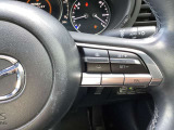 ステアリング右には運転支援系システムがまとまっており、運転中の操作の迷いを少なくしてくれます。