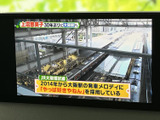 テレビ映像を画面で楽しめる装備です。お出かけ先での待ち時間など、停車中に映像を視聴したい場面に活用できます。画面を通じて番組を確認でき、車内で過ごす時間の楽しみが広がります。