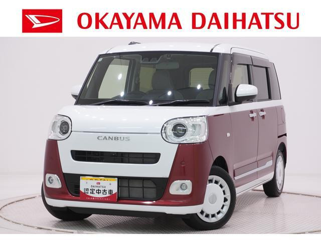 ムーヴキャンバス  ストライプス G