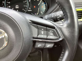 ステアリング右には運転支援系システムがまとまっており、運転中の操作の迷いを少なくしてくれます。