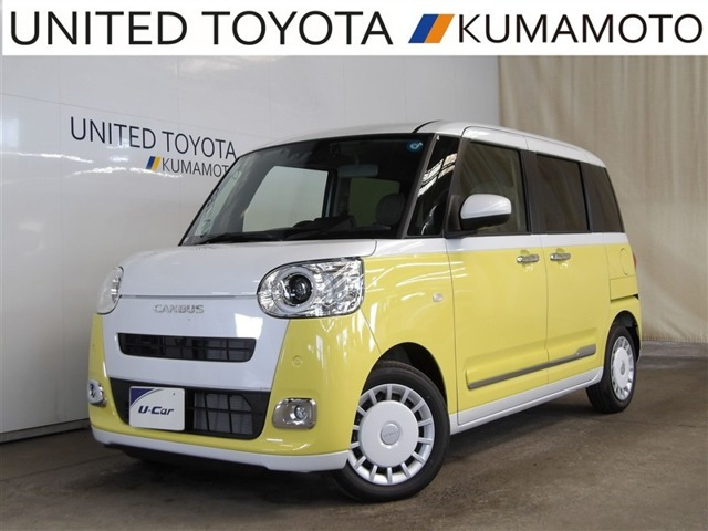 ムーヴキャンバス  ストライプス G