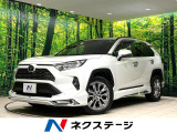 禁煙車 全周囲カメラ 衝突被害軽減システム 電動リアゲート レザーシート