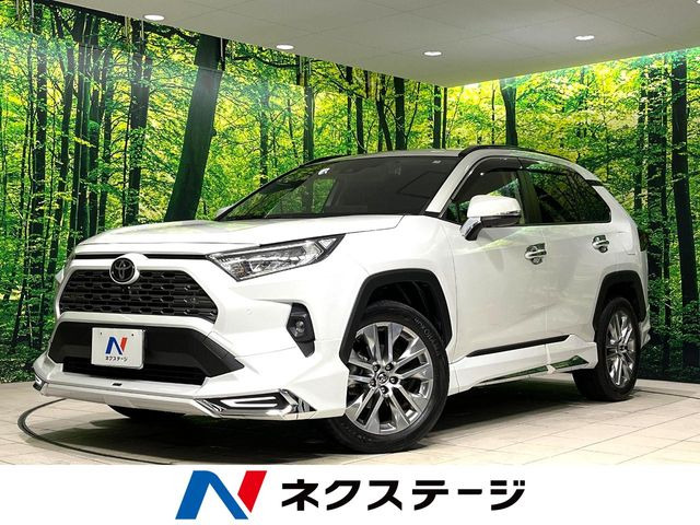 RAV4 2.0 G Zパッケージ 4WD 