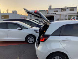 バックドアはここまで高く上げれます
