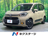 両側電動スライド 寒冷地仕様 セーフティセンス ブラインドスポット