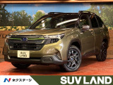 ハーマンカードンサウンド 2トーンカラー 純正11.3インチナビ機能付