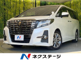 両側電動ドア 純正10型ナビ 後席モニター バックカメラ 衝突軽減