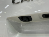 写真を見て気になった方、今がチャンスです!