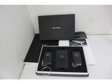 NX 300h Iパッケージ 