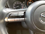 ステアリング左にはオーディオ系システムがまとまっており、運転中の快適性をサポートしてくれます。