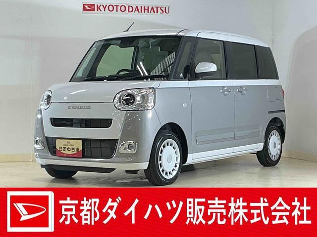 ムーヴキャンバス  ストライプス G