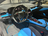 Sportiva Leather