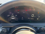 総走行距離数317km