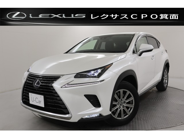 NX 300h Iパッケージ 