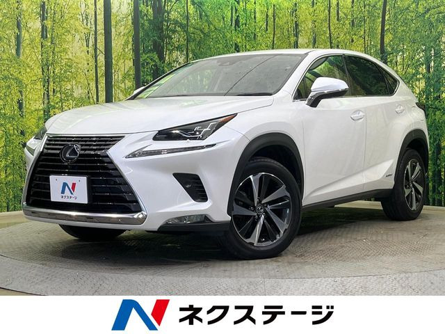 NX 300h バージョンL 