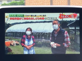 テレビ番組を画面で視聴でき、停車中の待ち時間も車内で過ごしやすくなります。番組内容が見やすく表示されるため、休憩中にニュースや情報番組を楽しみたい方にも便利な装備です。