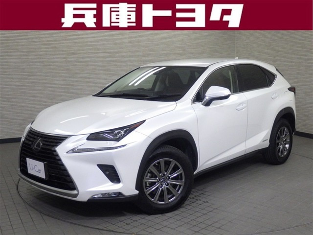 NX 300h Iパッケージ 