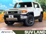 SDナビ クルーズコントロール フルセグ RAYS製17インチアルミ
