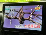 テレビ映像を表示できる画面を備え、停車中に番組を視聴して過ごせます。お出かけ先での休憩時間などにも活用でき、車内で映像を楽しみたい方にうれしい装備です。